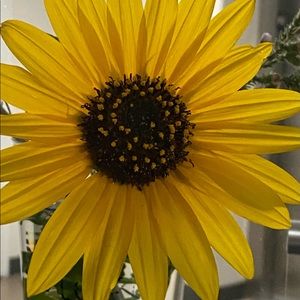 Meet your Posher, Lyn